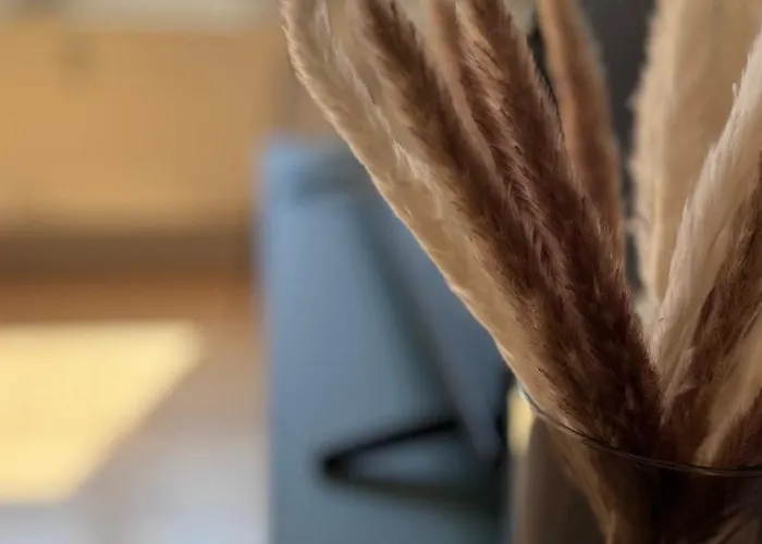 Design Hindenburg In * Neustadt an der Weinstraße